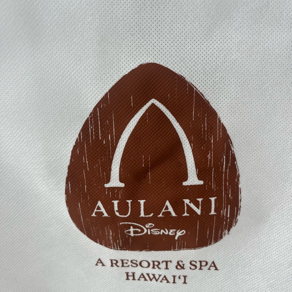 Disney Aulani new release reusable bag